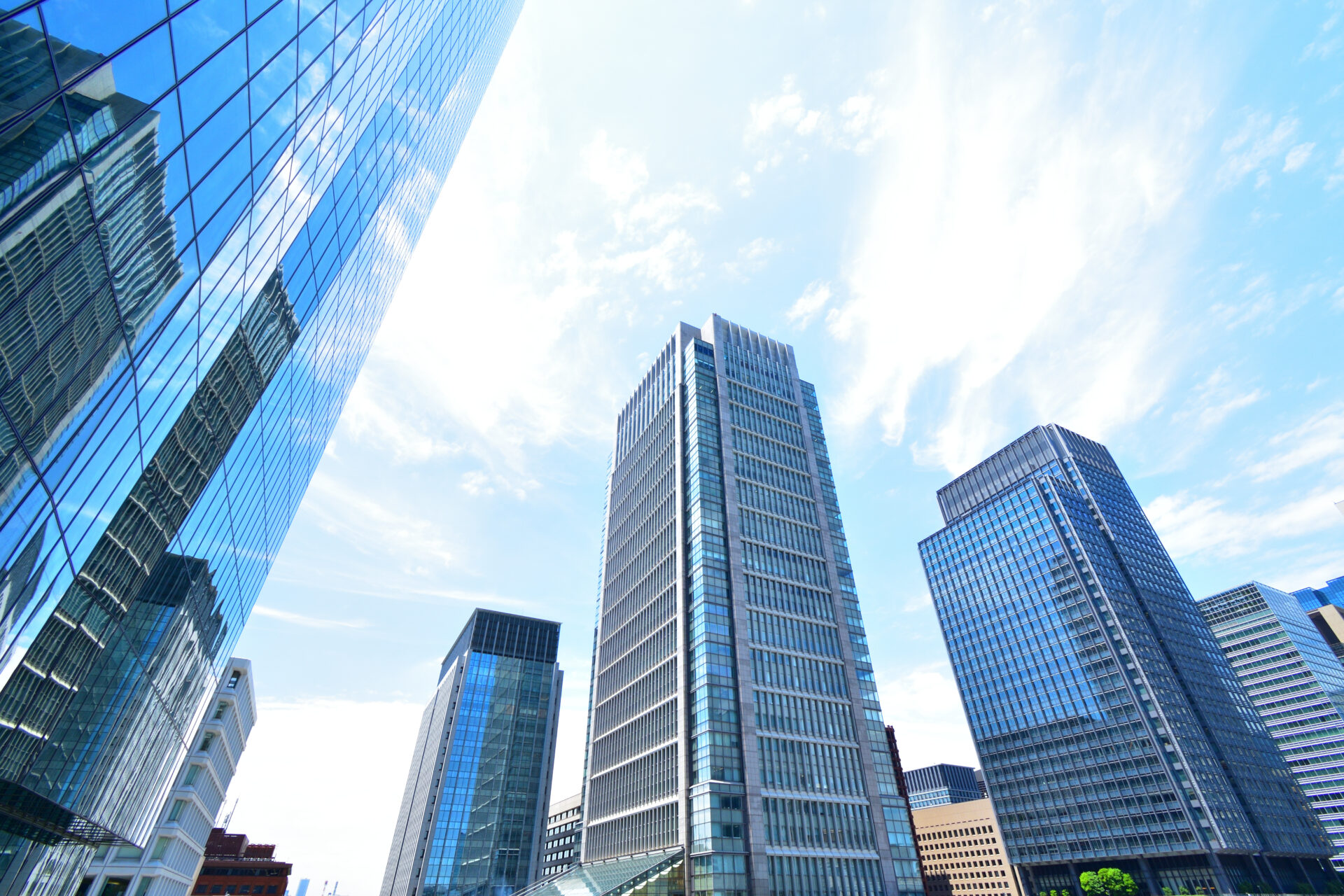 会社設立登記(株式会社・合同会社など)